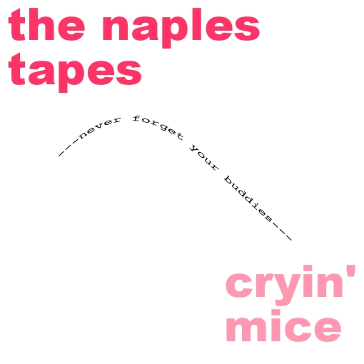 the naplestapes front